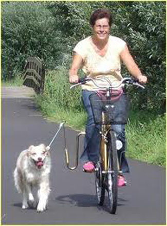 Springer "Origineel" fietsbeugel