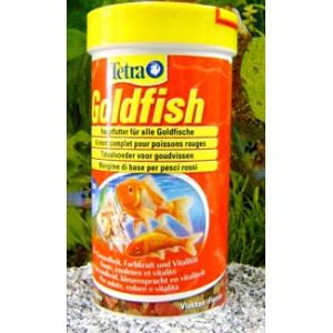 tetra animin