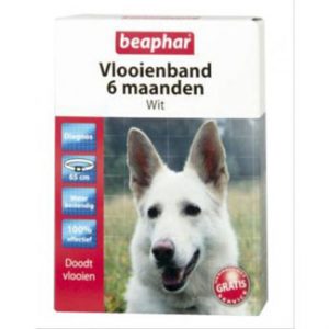 beaphar vlooienband 6 maanden