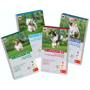 Advantix anti-parasiet hond