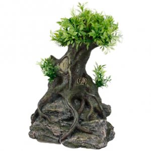 bonzai boom