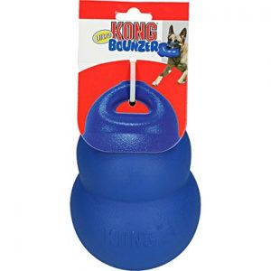 kong bouncer