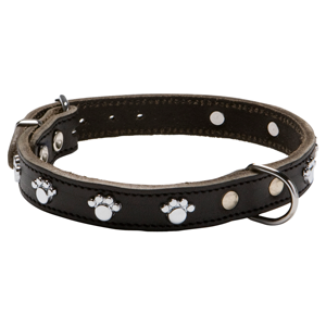 halsband met hondenpootjes