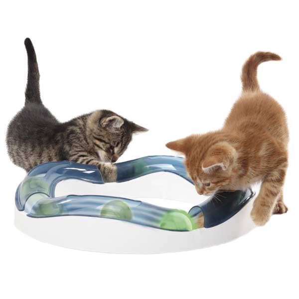 cat it speedcircuit