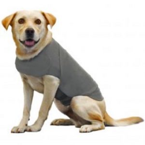 thundershirt (vuurwerkjasje hond)
