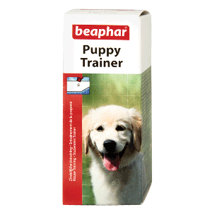 puppy trainer
