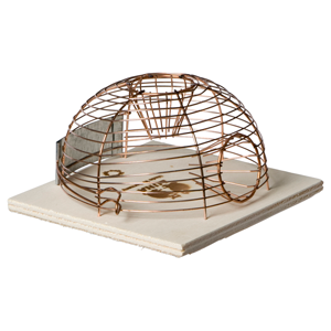 Muizenval hout rond model