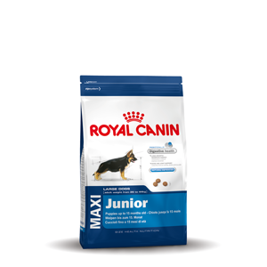 royal canin maxi junior