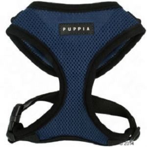 puppia tuigje royal blue
