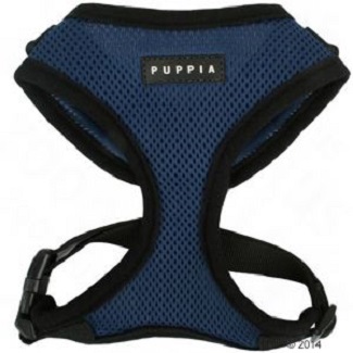 puppia tuigje royal blue