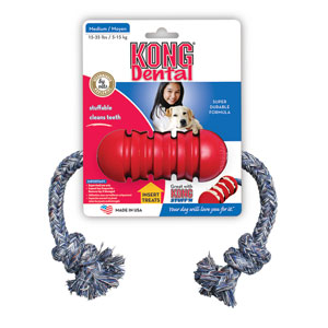 kong dental