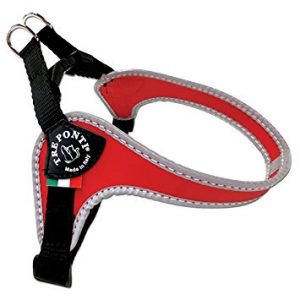 Tre ponti fibbia rood reflect