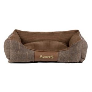 scruffs windsor bruin