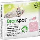 Dronspot kleine katten S