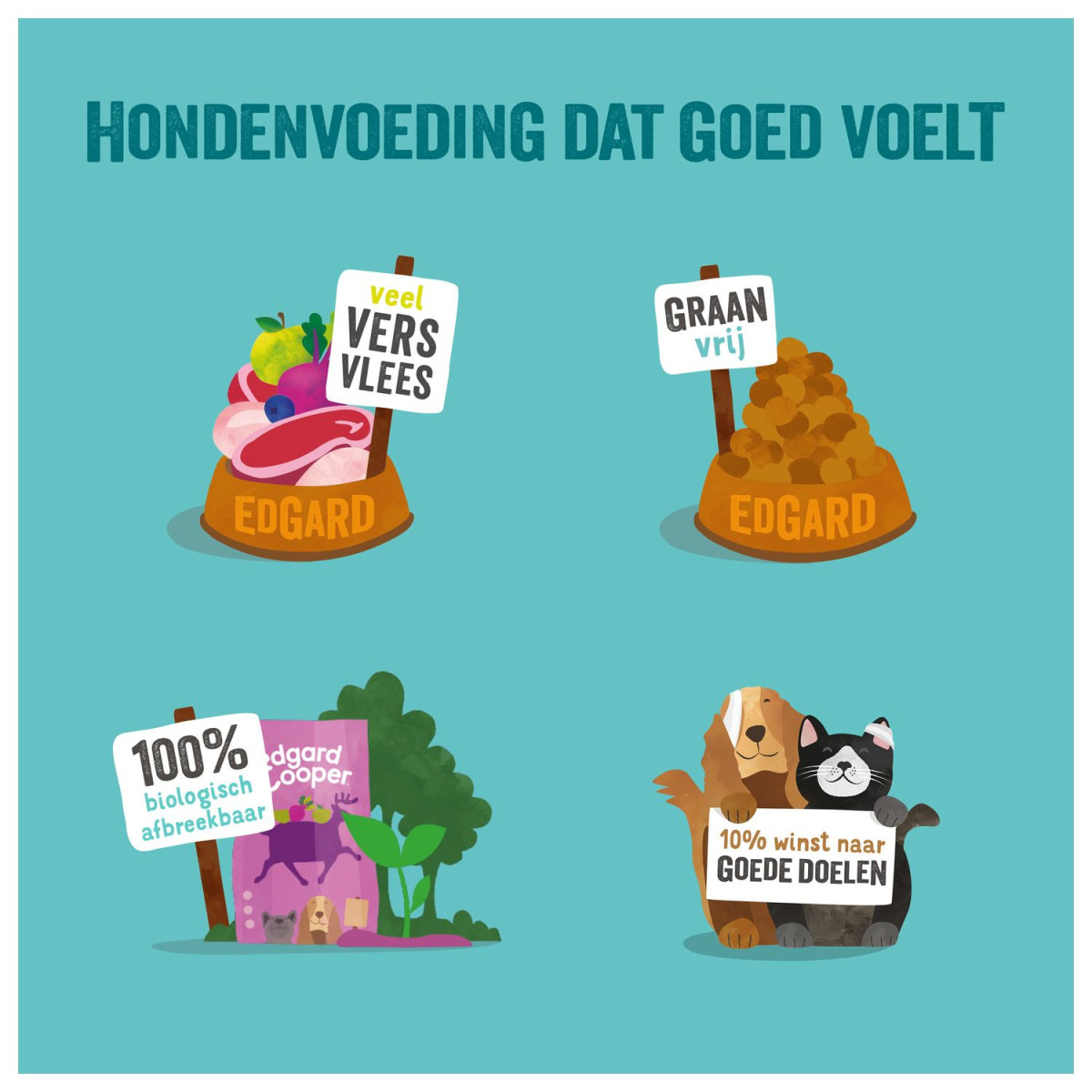 edgar en cooper eend puppy - Afbeelding 2