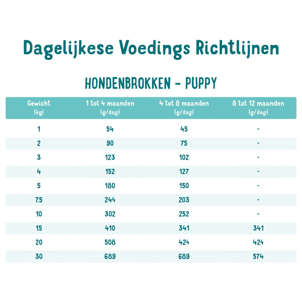 edgar en cooper eend puppy - Afbeelding 3