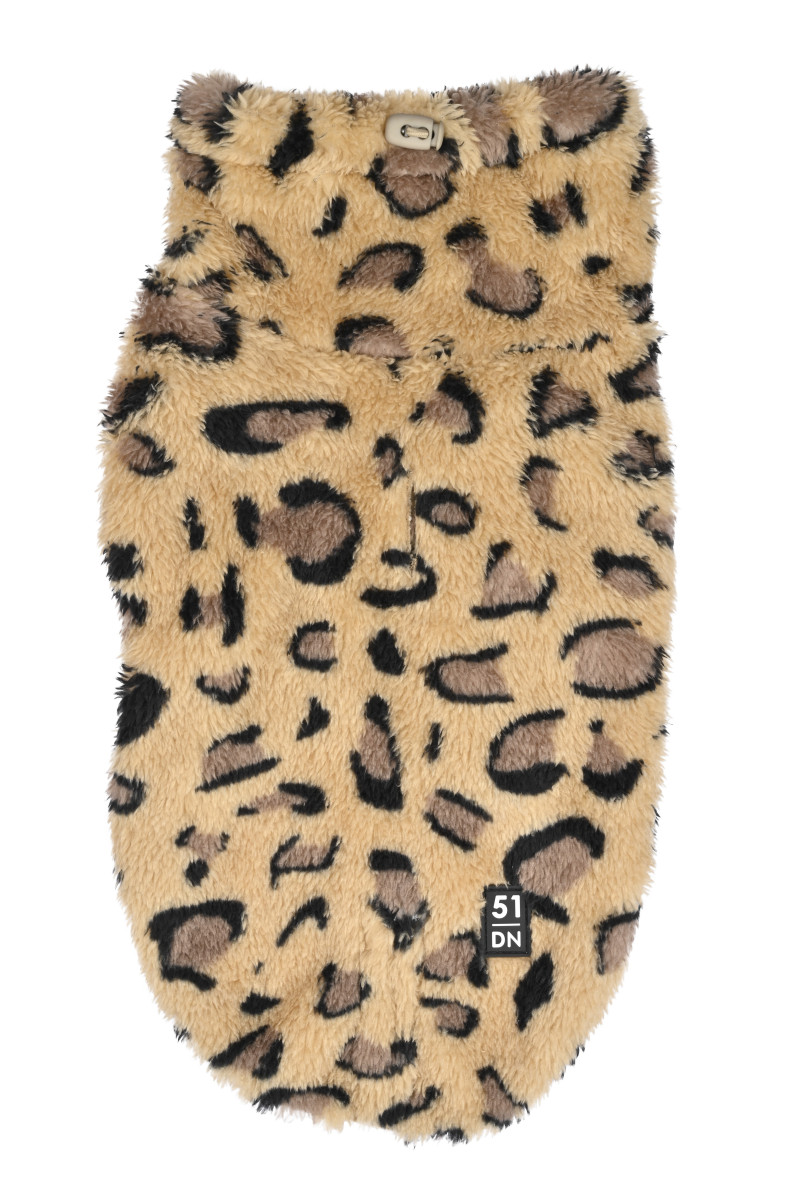 51 degrees north turtle leopard